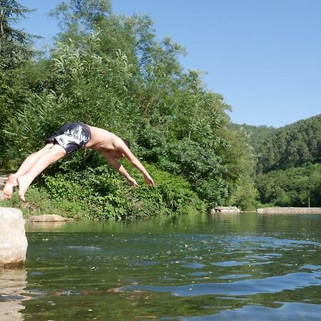 Camping Des Drouilhedes Hotel Peyremale Kültér fotó